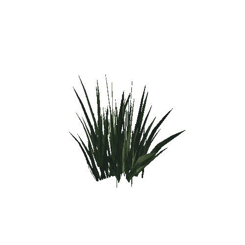 grass foliage